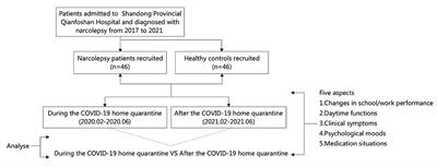 The Impact of Sleep Pattern in School/Work Performance During the COVID-19 Home Quarantine in Patients With Narcolepsy